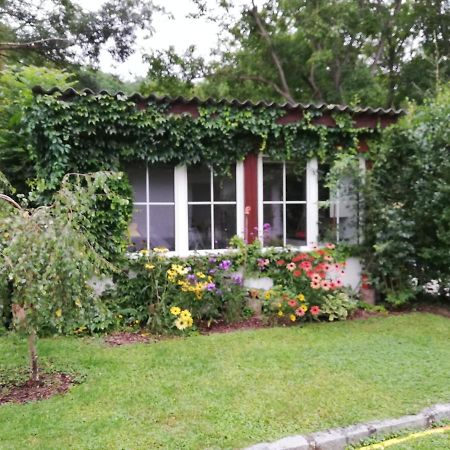 Villa Ferienhaeuschen Gruber Loosdorf Exterior foto