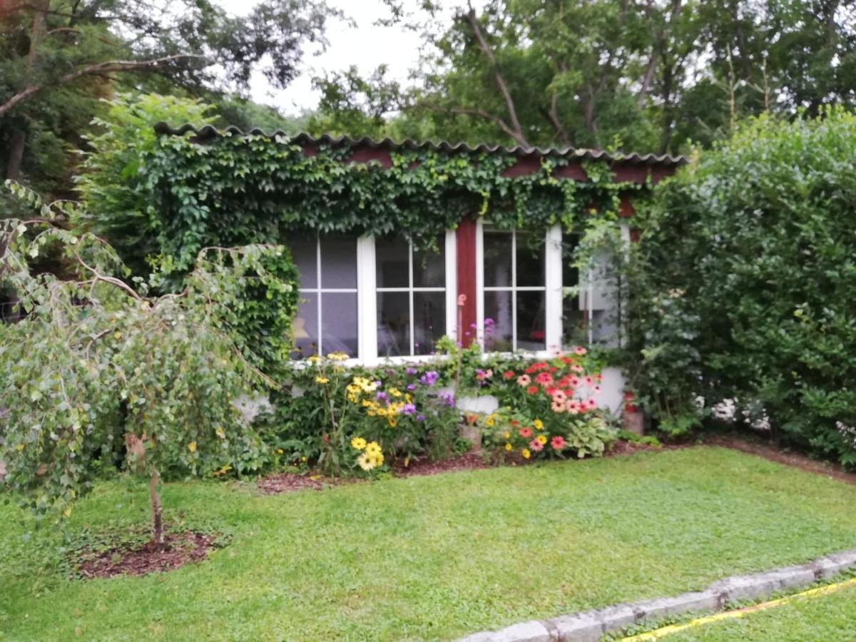 Villa Ferienhaeuschen Gruber Loosdorf Exterior foto